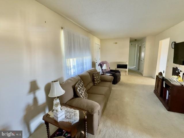 668 Jarrells Road Felton, DE 19943 - Photo 4 of 21 Gallery Image 4
