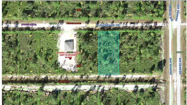 $37,000 | 705 Calendula Drive, Indian Lake Estates, FL 33843