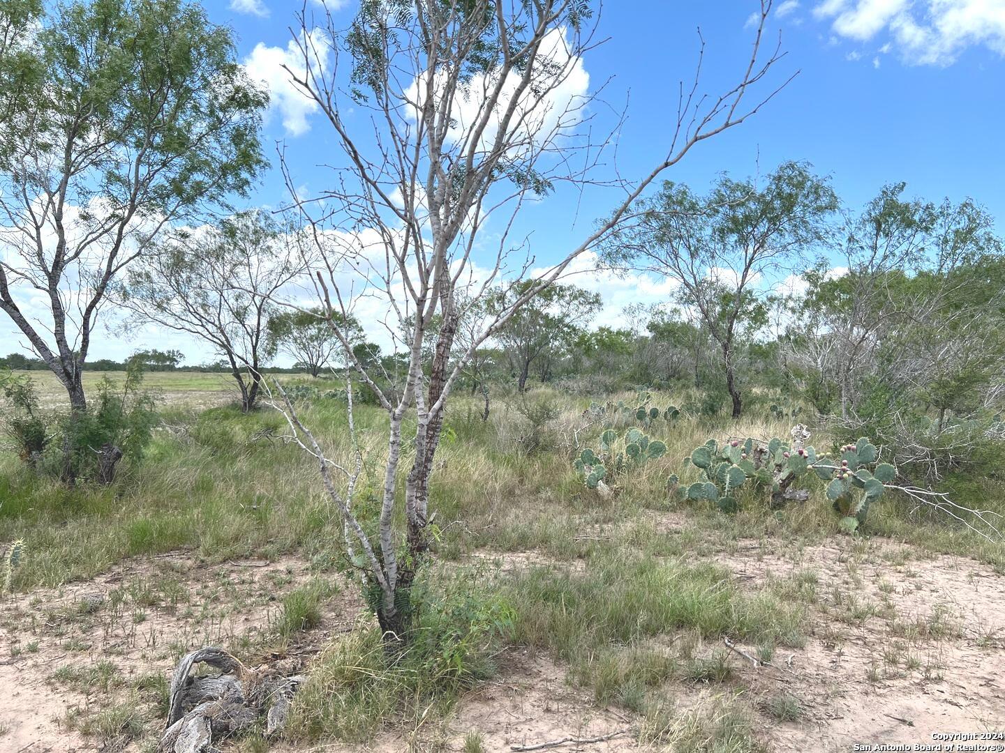 8136 Leal Road Pleasanton, TX 78064 - Photo 12 of 18