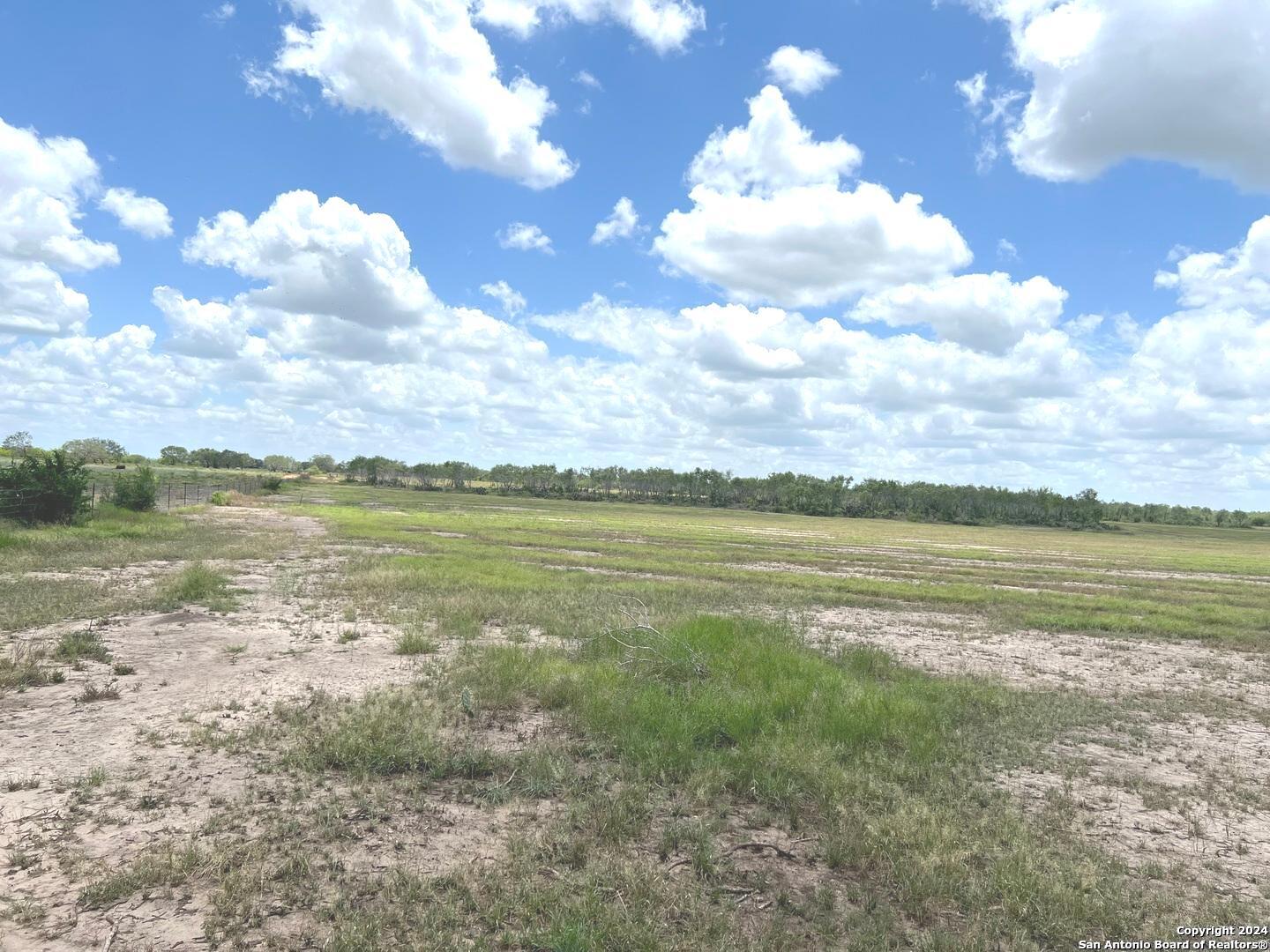 8136 Leal Road Pleasanton, TX 78064 - Photo 13 of 18