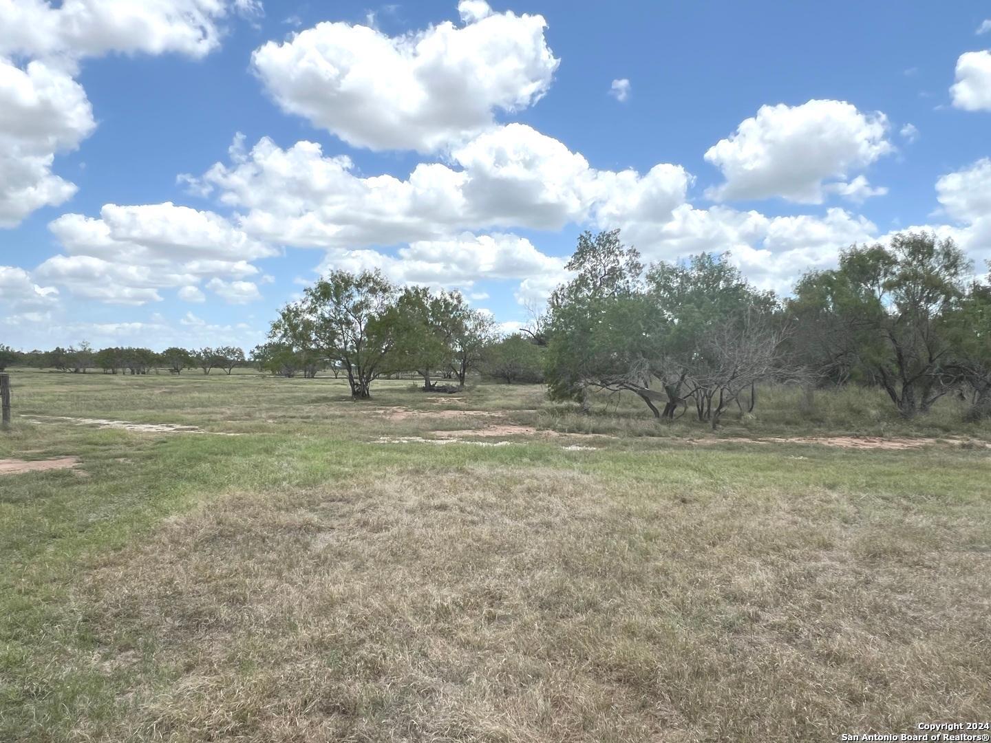 8136 Leal Road Pleasanton, TX 78064 - Photo 5 of 18