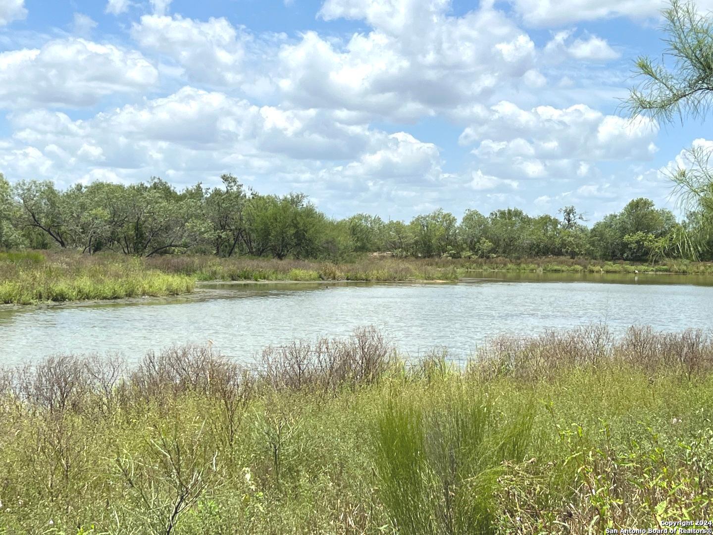8136 Leal Road Pleasanton, TX 78064 - Photo 9 of 18