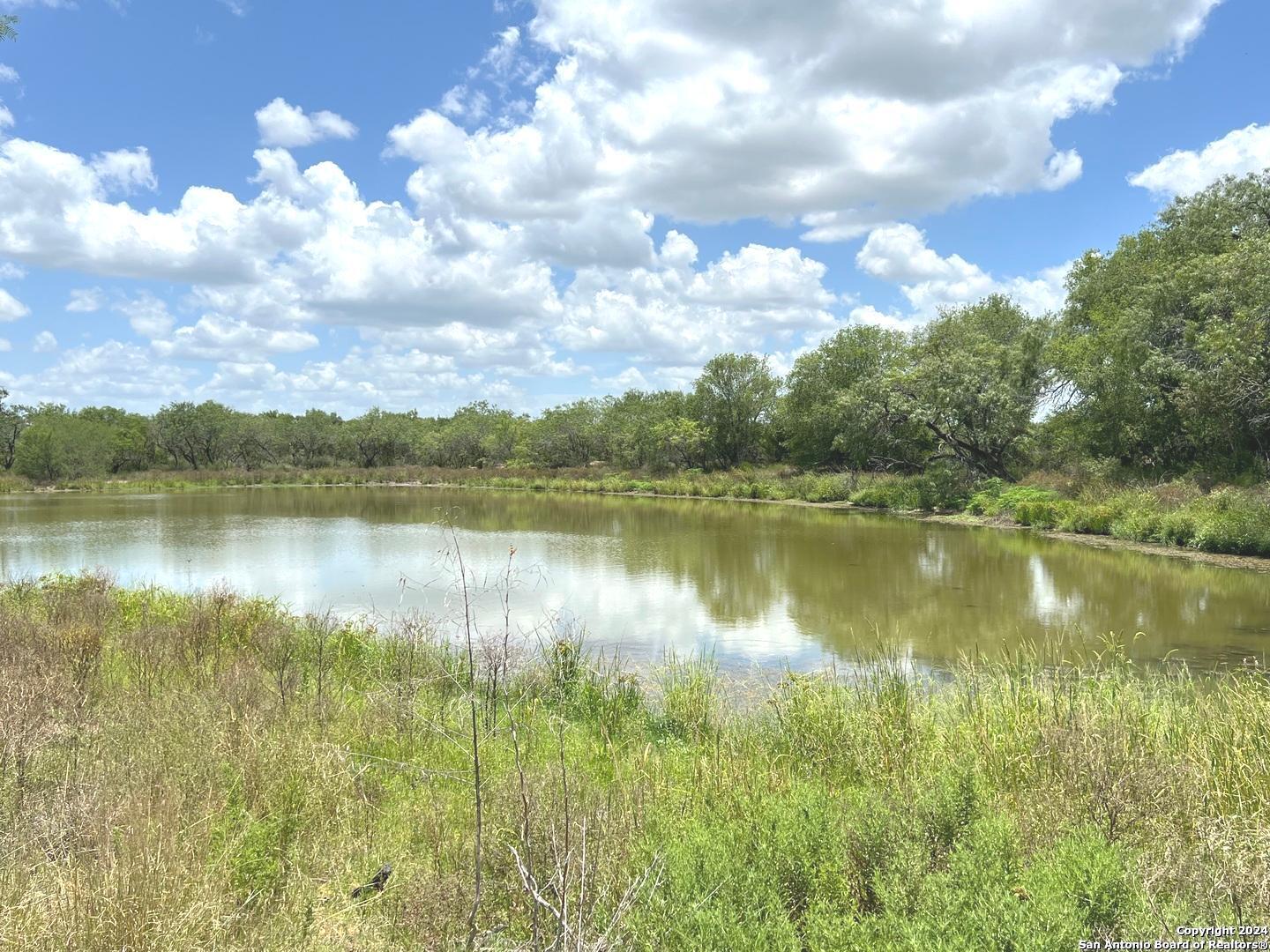 8136 Leal Road Pleasanton, TX 78064 - Photo 10 of 18