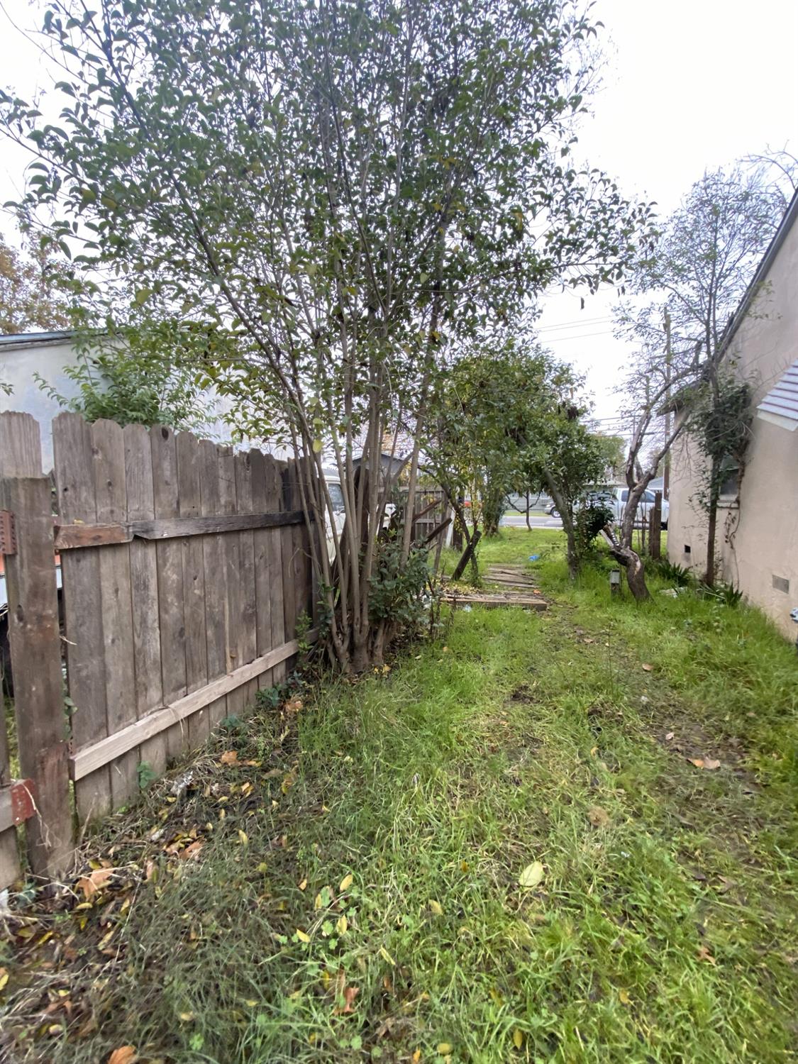 3440 Edison Avenue Sacramento, CA 95821 - Photo 33 of 33 a backyard of a house with lots of green space