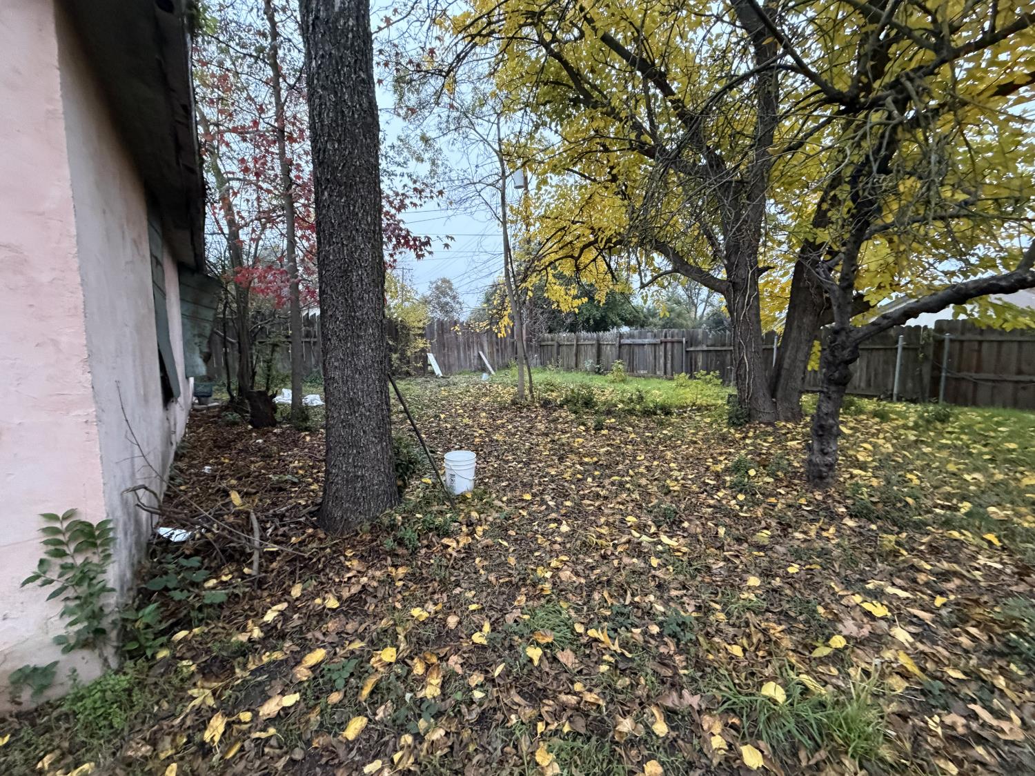 3440 Edison Avenue Sacramento, CA 95821 - Photo 7 of 33 a view of a yard with plants and trees