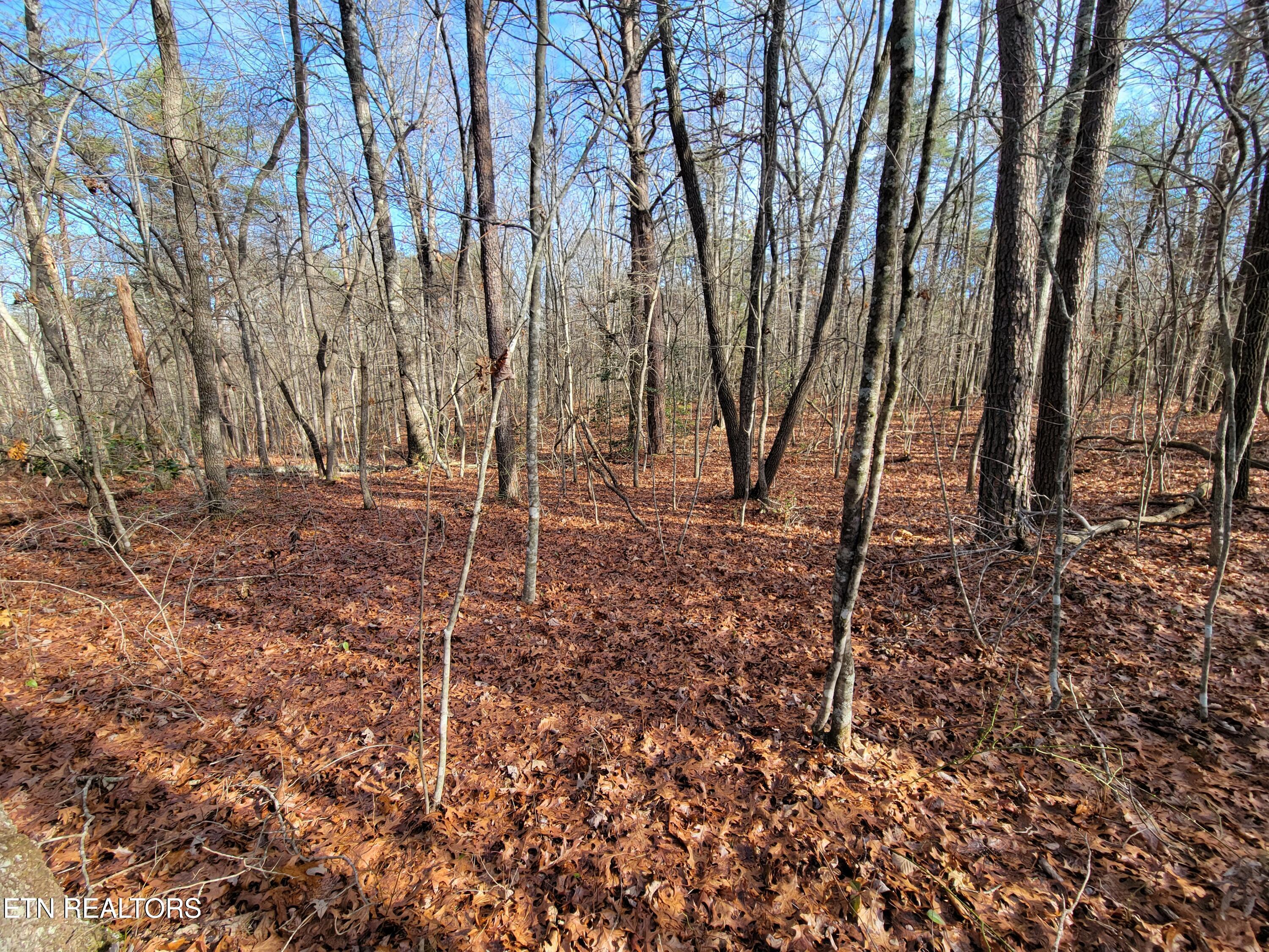 30 Laurel Loop Monterey, TN 38574 - Photo 10 of 12 Laurel Loop Lot 30 Photo 10