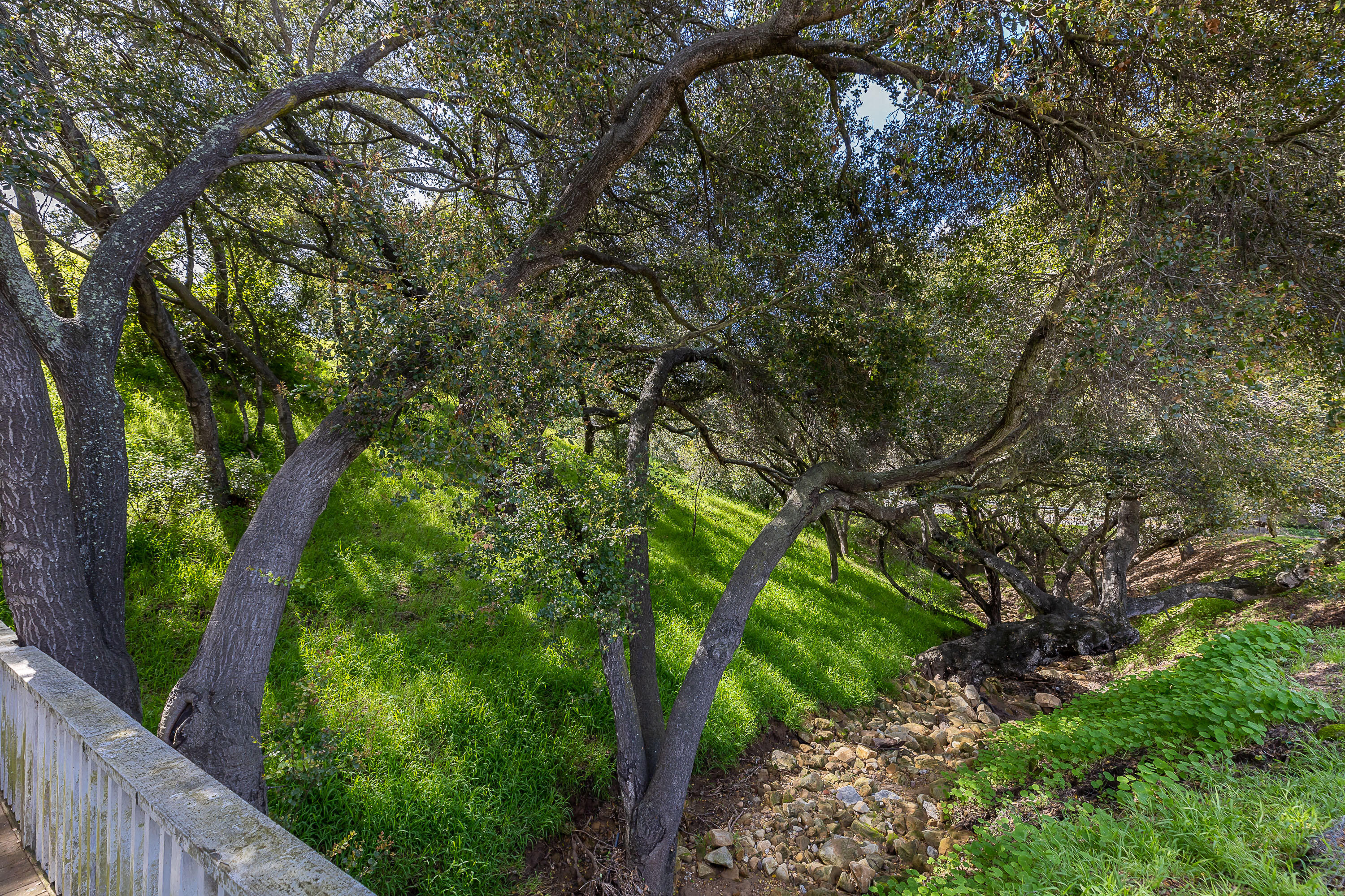 3650 Foothill Road Santa Barbara, CA 93105 - Photo 7 of 30 3650-Foothill-Road-07