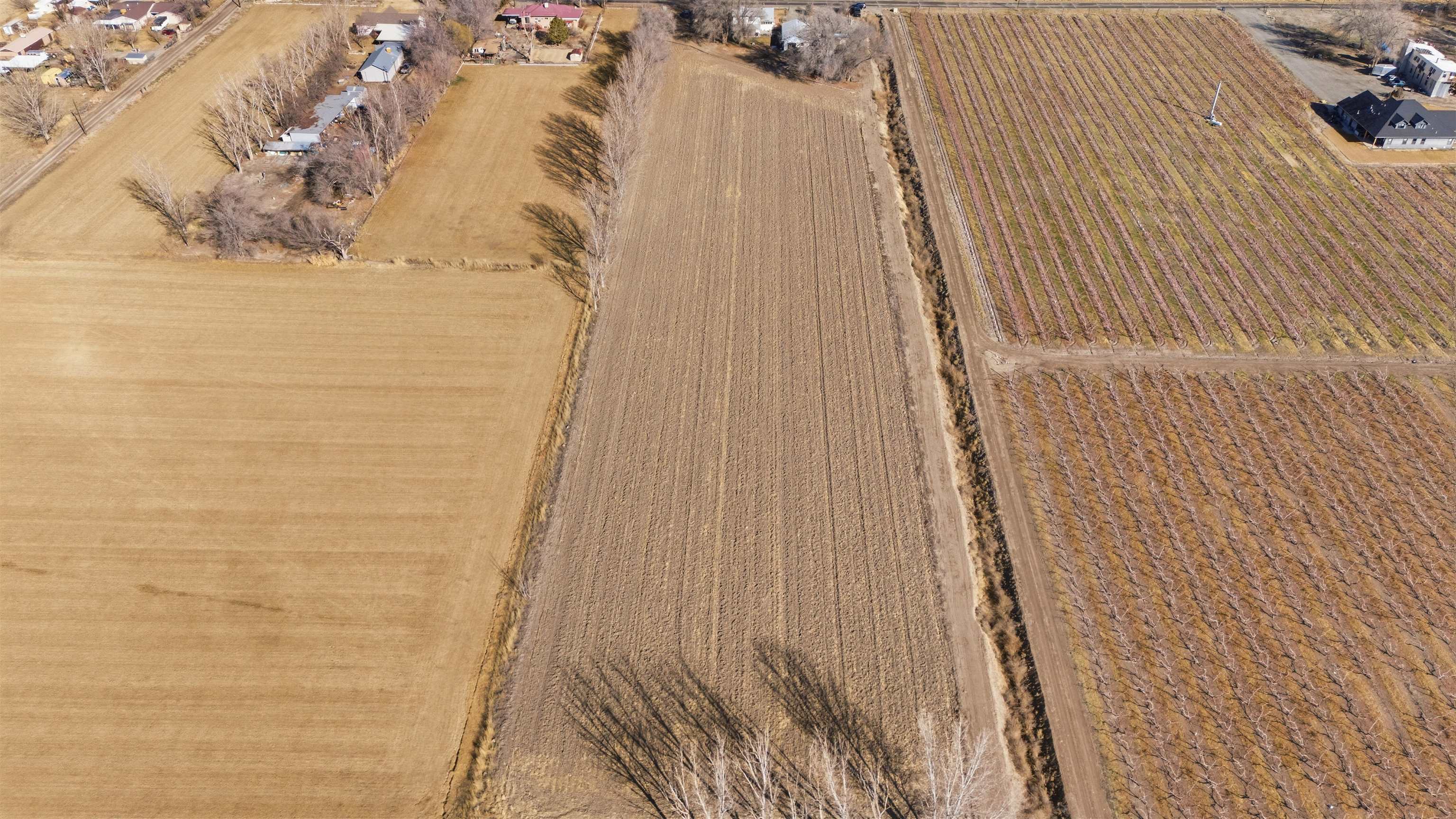 3473 F F 3/4 Road Clifton, CO 81520 - Photo 14 of 15