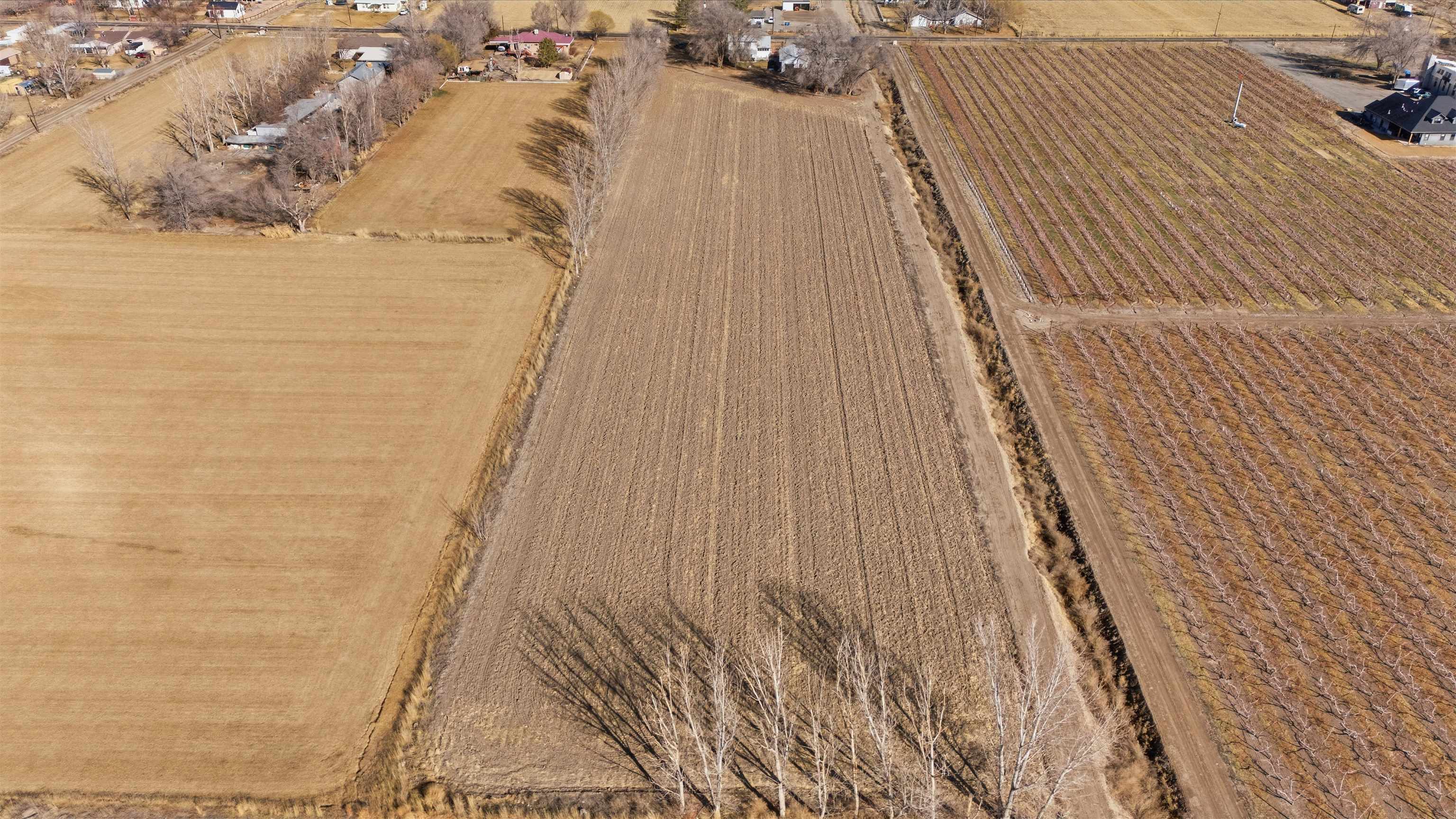 3473 F F 3/4 Road Clifton, CO 81520 - Photo 15 of 15