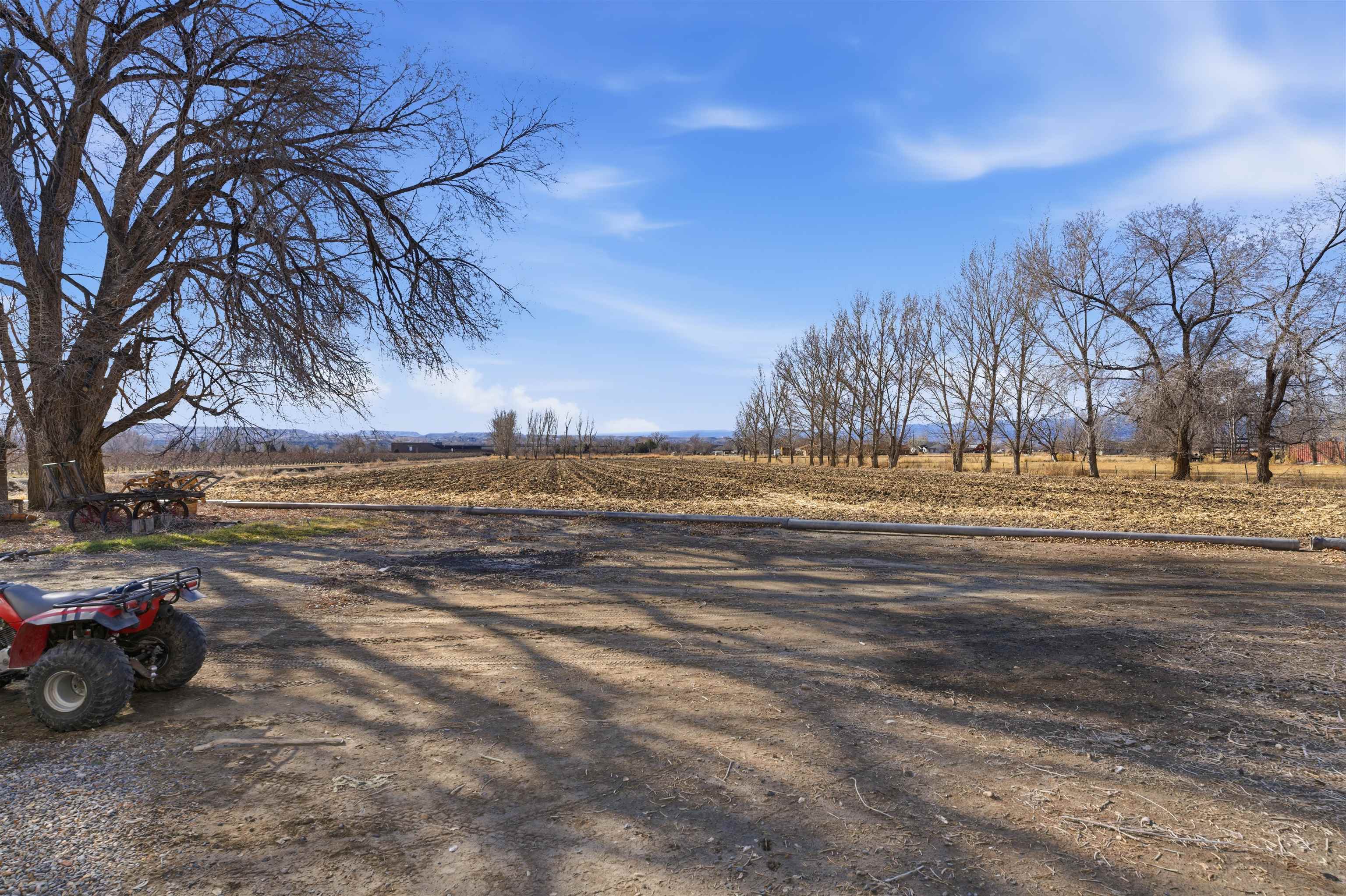 3473 F F 3/4 Road Clifton, CO 81520 - Photo 8 of 15