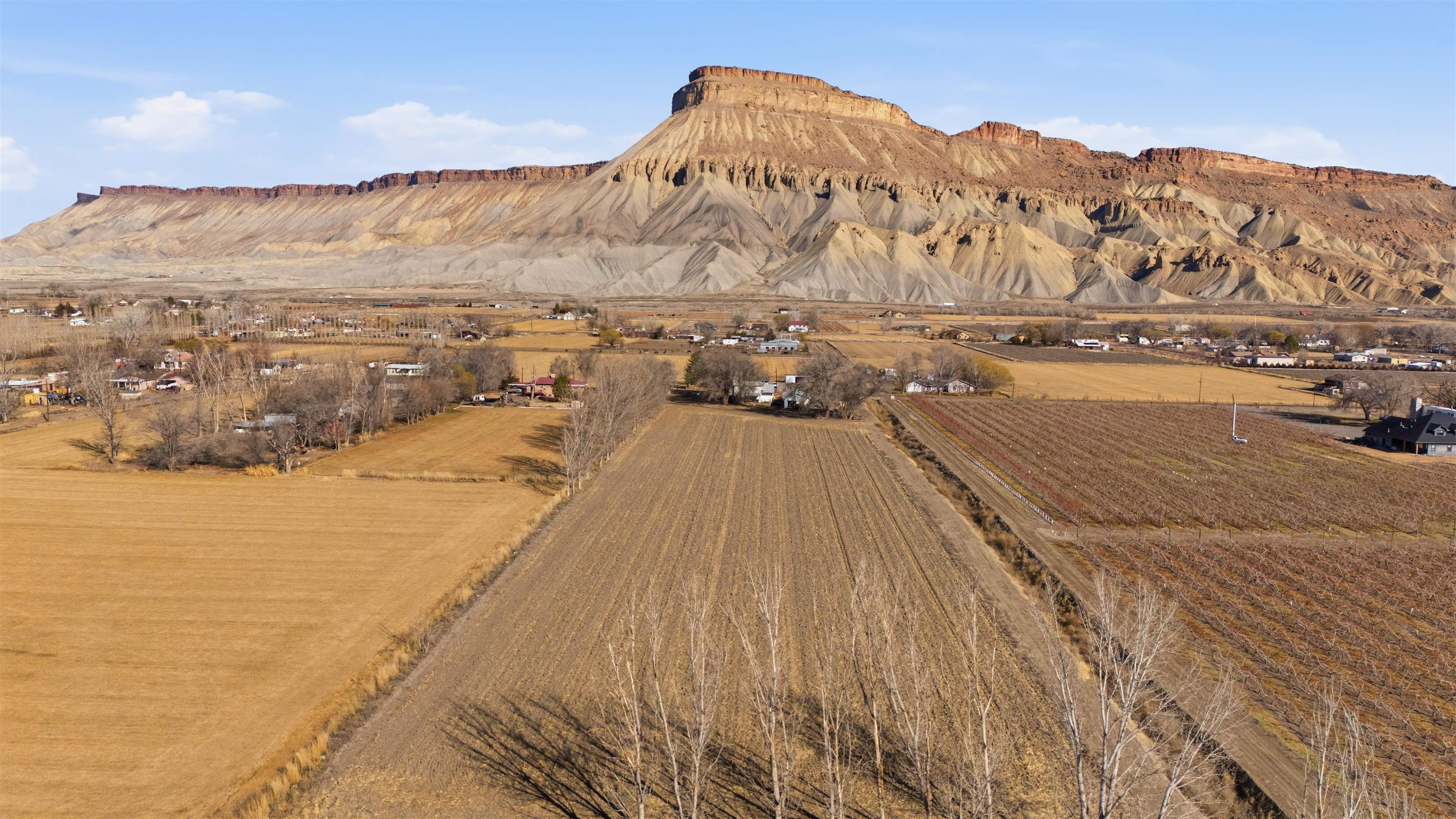 3473 F F 3/4 Road Clifton, CO 81520 - Photo 9 of 15