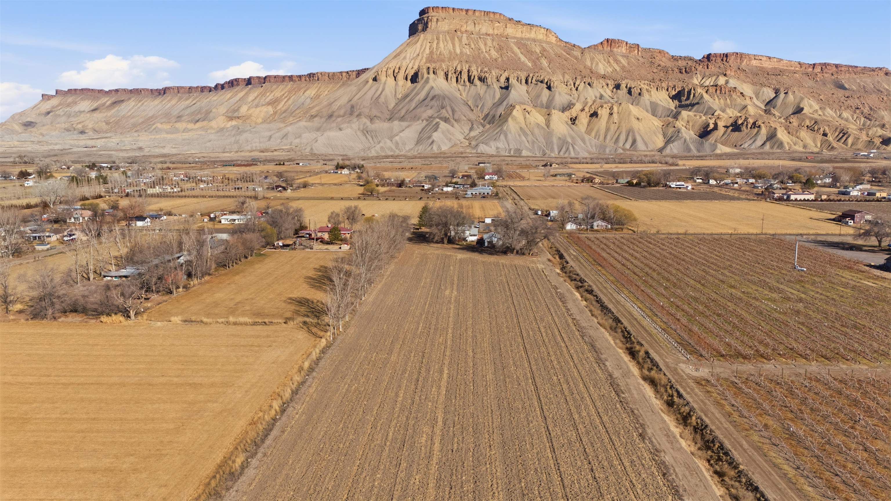 3473 F F 3/4 Road Clifton, CO 81520 - Photo 10 of 15