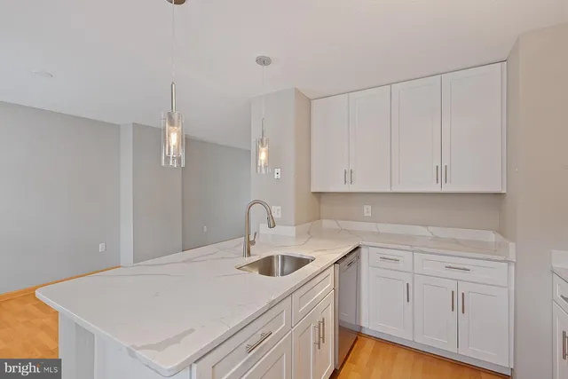 $3,000 | 2384 Branleigh Park Court, Reston, VA 20191