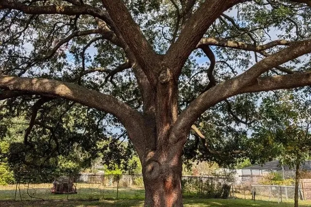 $1,700 | 6033 Northwest 33 Street, Gainesville, FL 32653