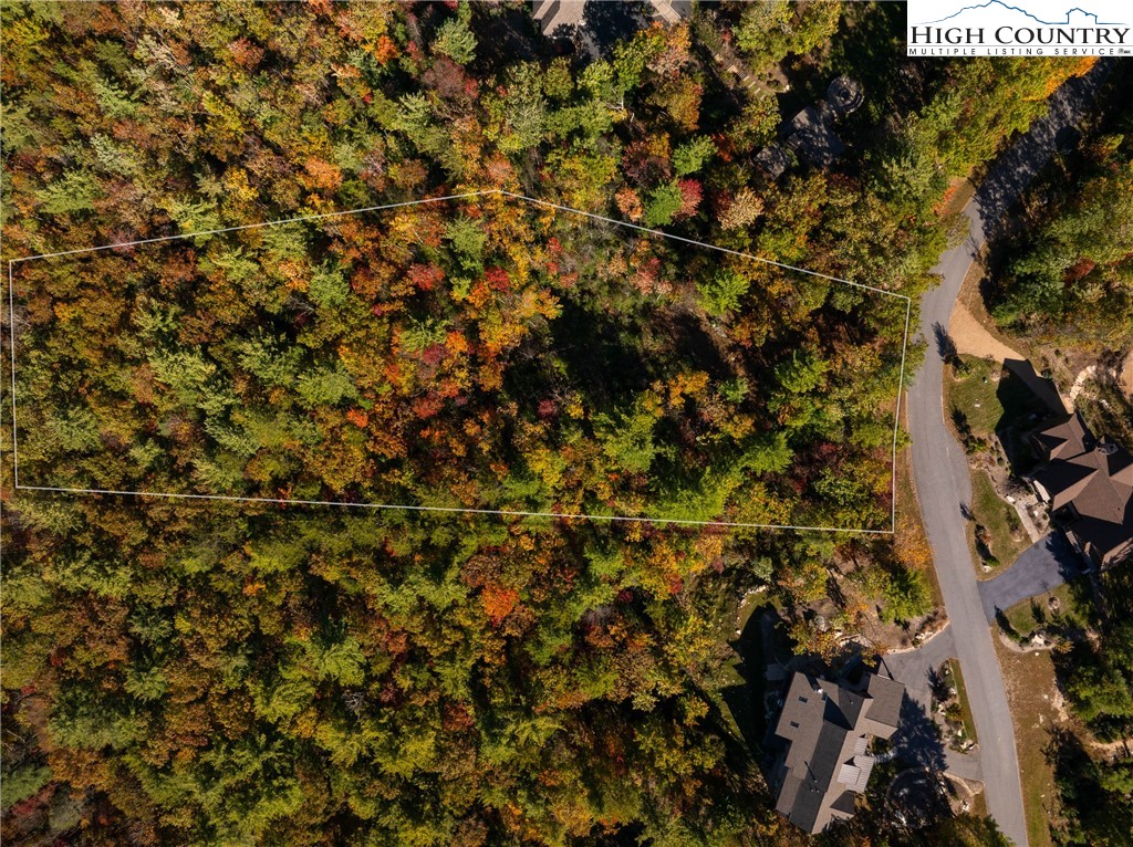 255 Red Cedar Road Boone, NC 28607 - Photo 6 of 49 a view of a tree