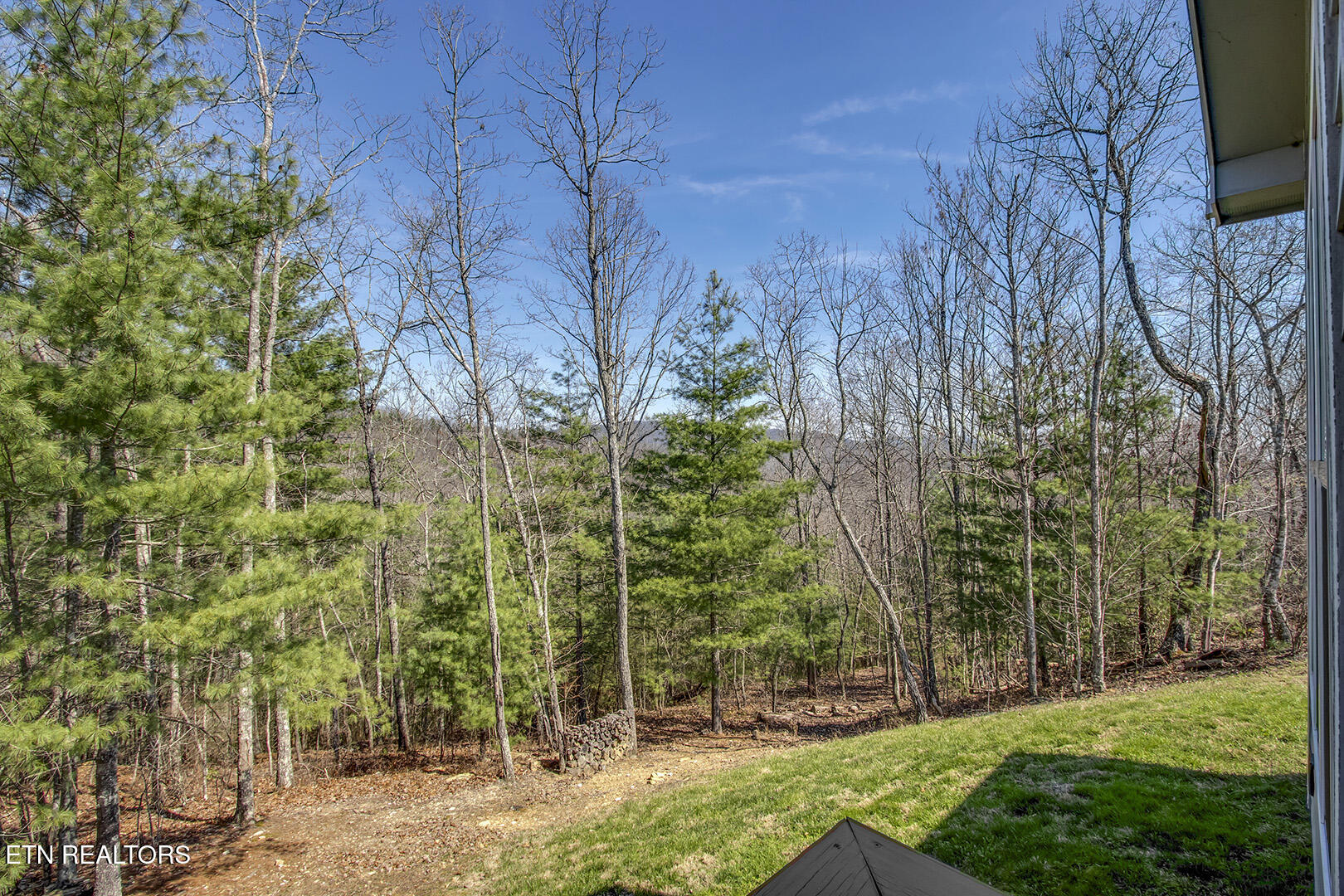 664 Green Ridge Trail Harriman, TN 37748 - Photo 15 of 50 15_GreenRidgeTrail_664_DeckView