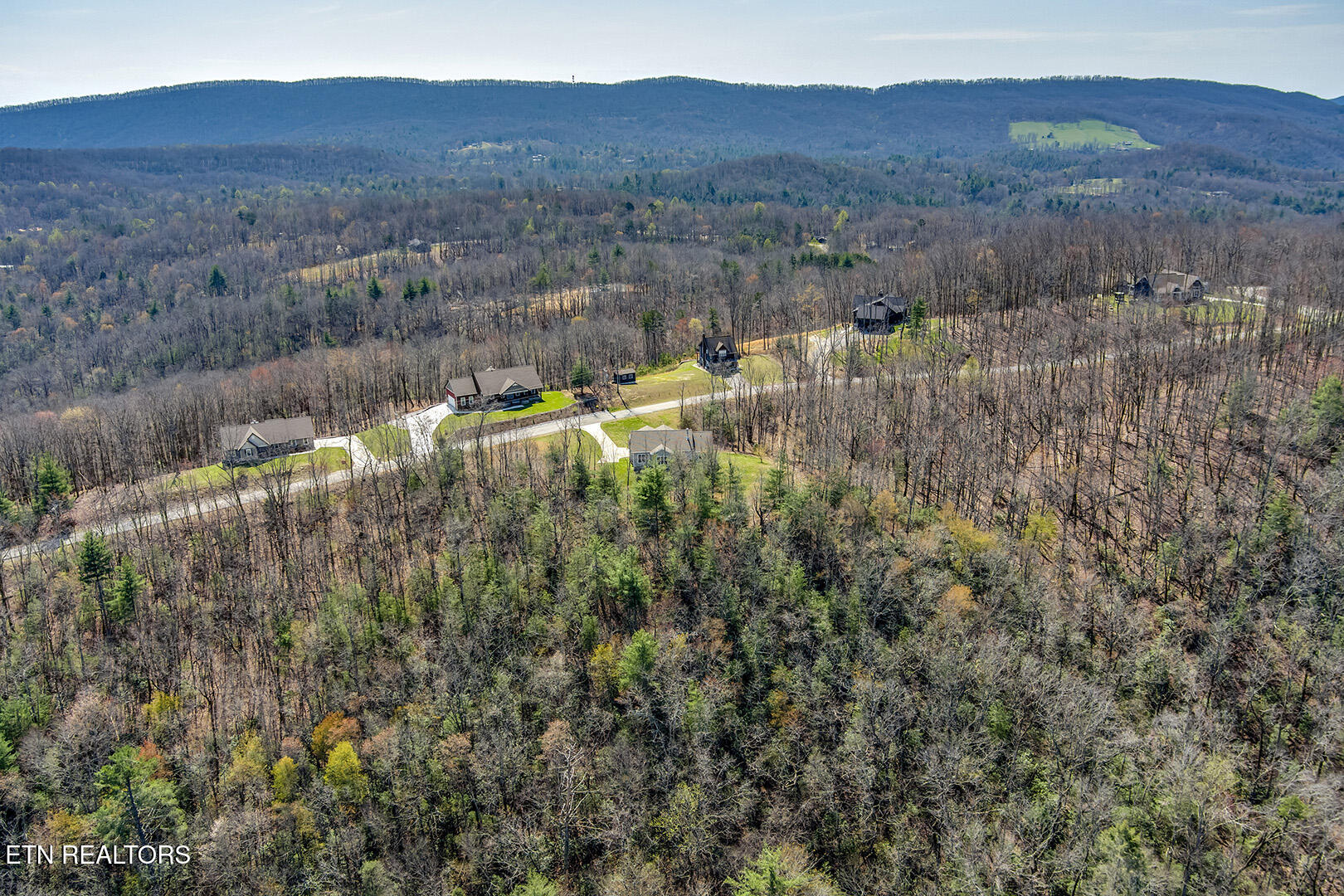 664 Green Ridge Trail Harriman, TN 37748 - Photo 48 of 50 48_GreenRidgeTrail_664_Birdseye05