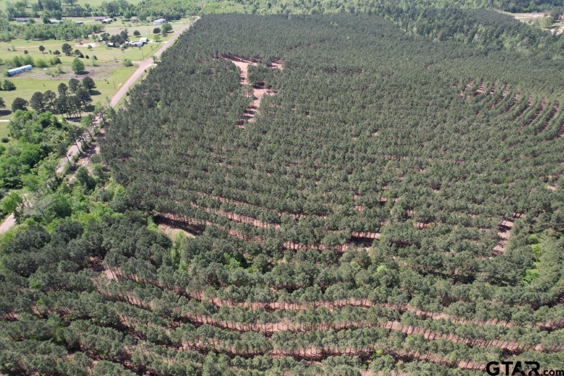 Tbd-l Lincoln Springs Road Gladewater, TX 75647 - Photo 11 of 19 a aerial view of a house with a yard
