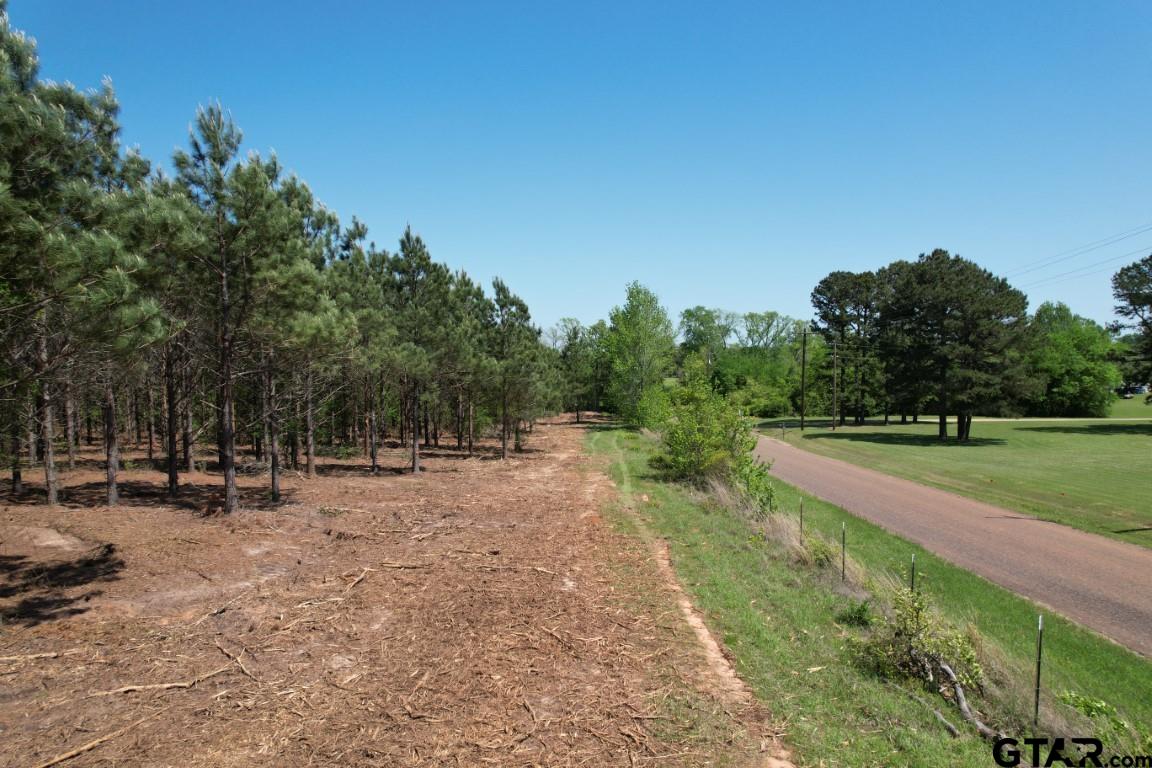 Tbd-l Lincoln Springs Road Gladewater, TX 75647 - Photo 4 of 19 a view of a yard with a tree
