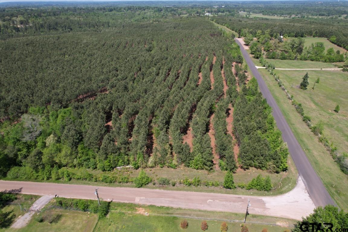 Tbd-l Lincoln Springs Road Gladewater, TX 75647 - Photo 7 of 19 an aerial view of house with yard