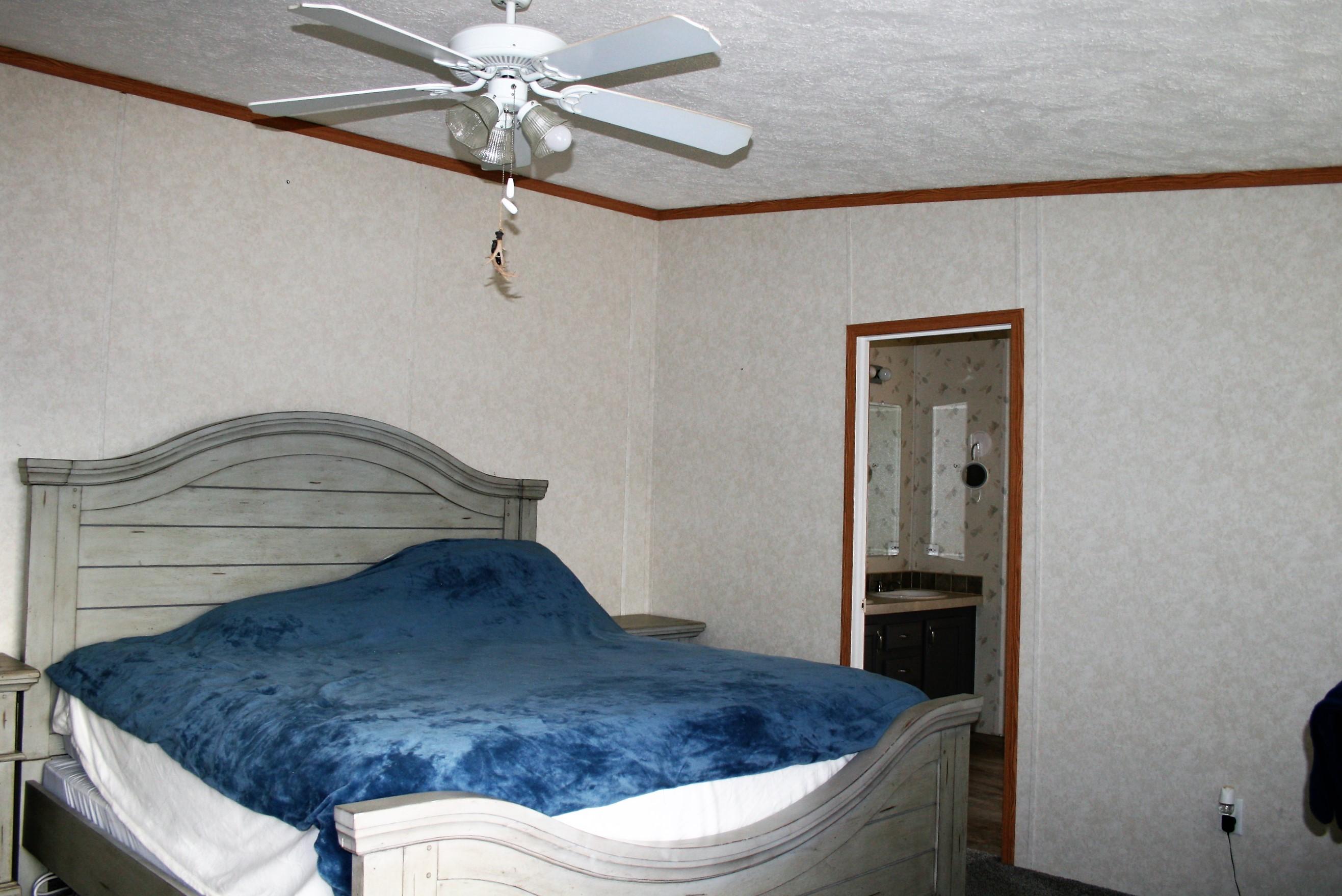 8831 Trout Road Mascot, TN 37806 - Photo 17 of 32 Master bedroom
