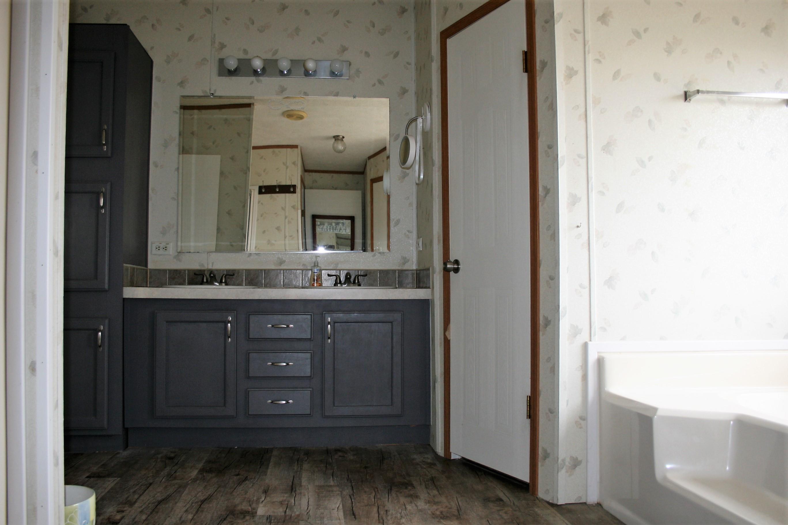 8831 Trout Road Mascot, TN 37806 - Photo 19 of 32 Master bath