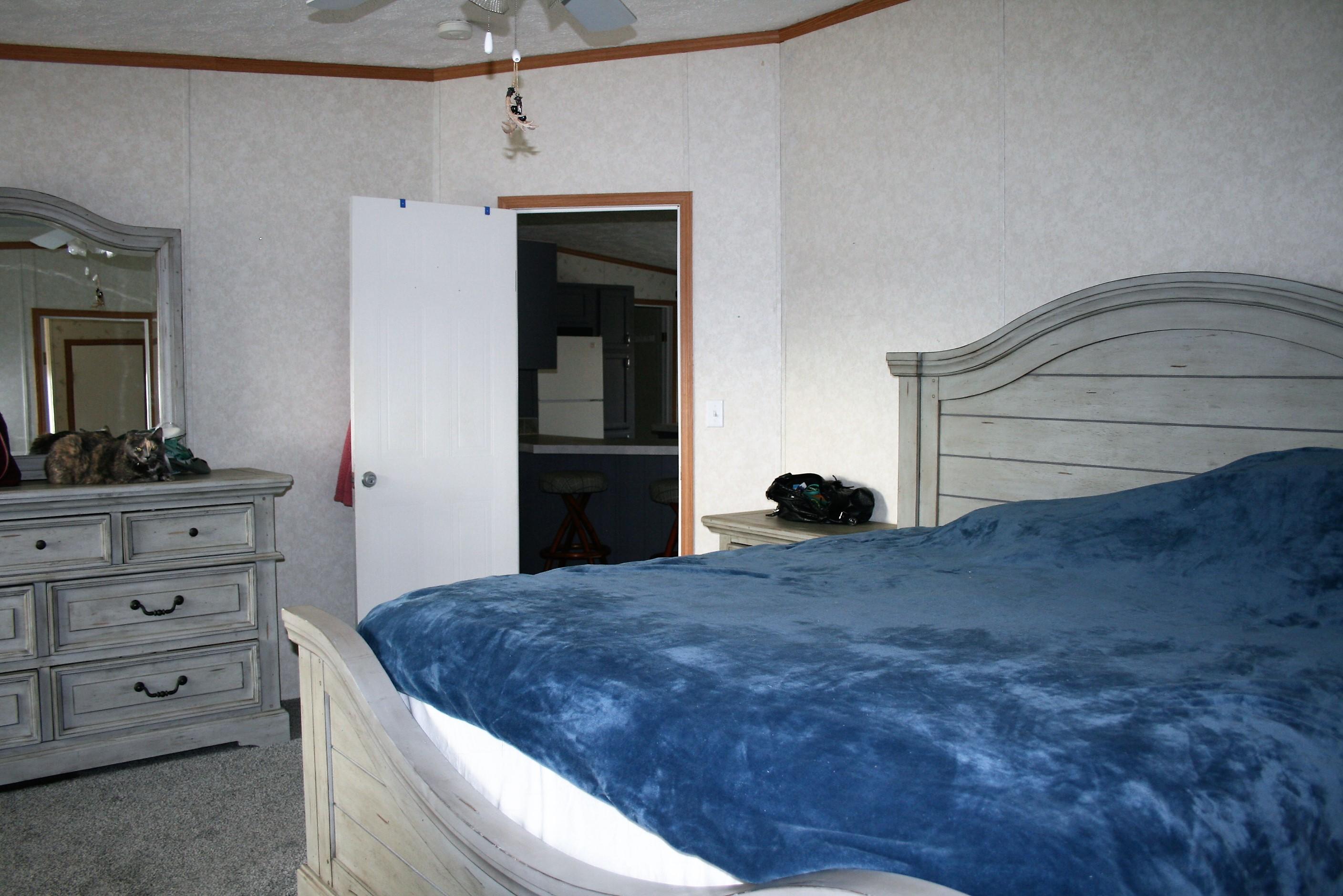 8831 Trout Road Mascot, TN 37806 - Photo 21 of 32 Master bedroom