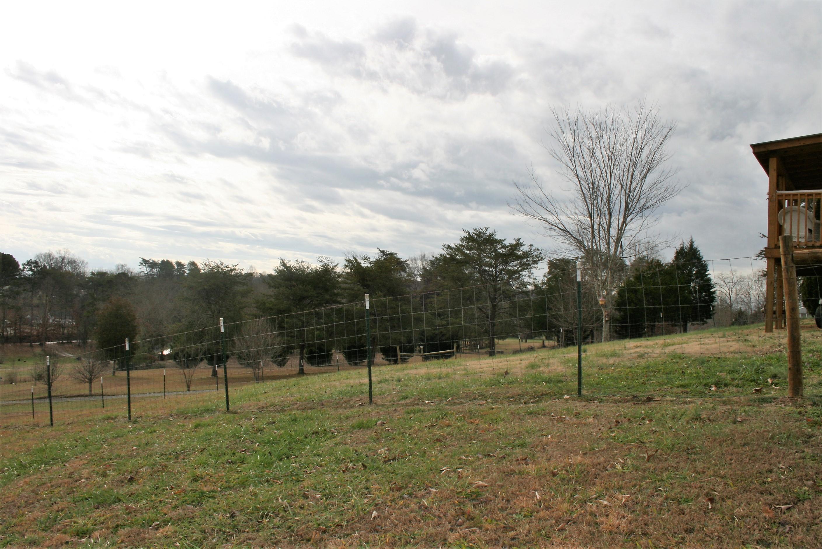 8831 Trout Road Mascot, TN 37806 - Photo 31 of 32 Fenced yard for your fur loves