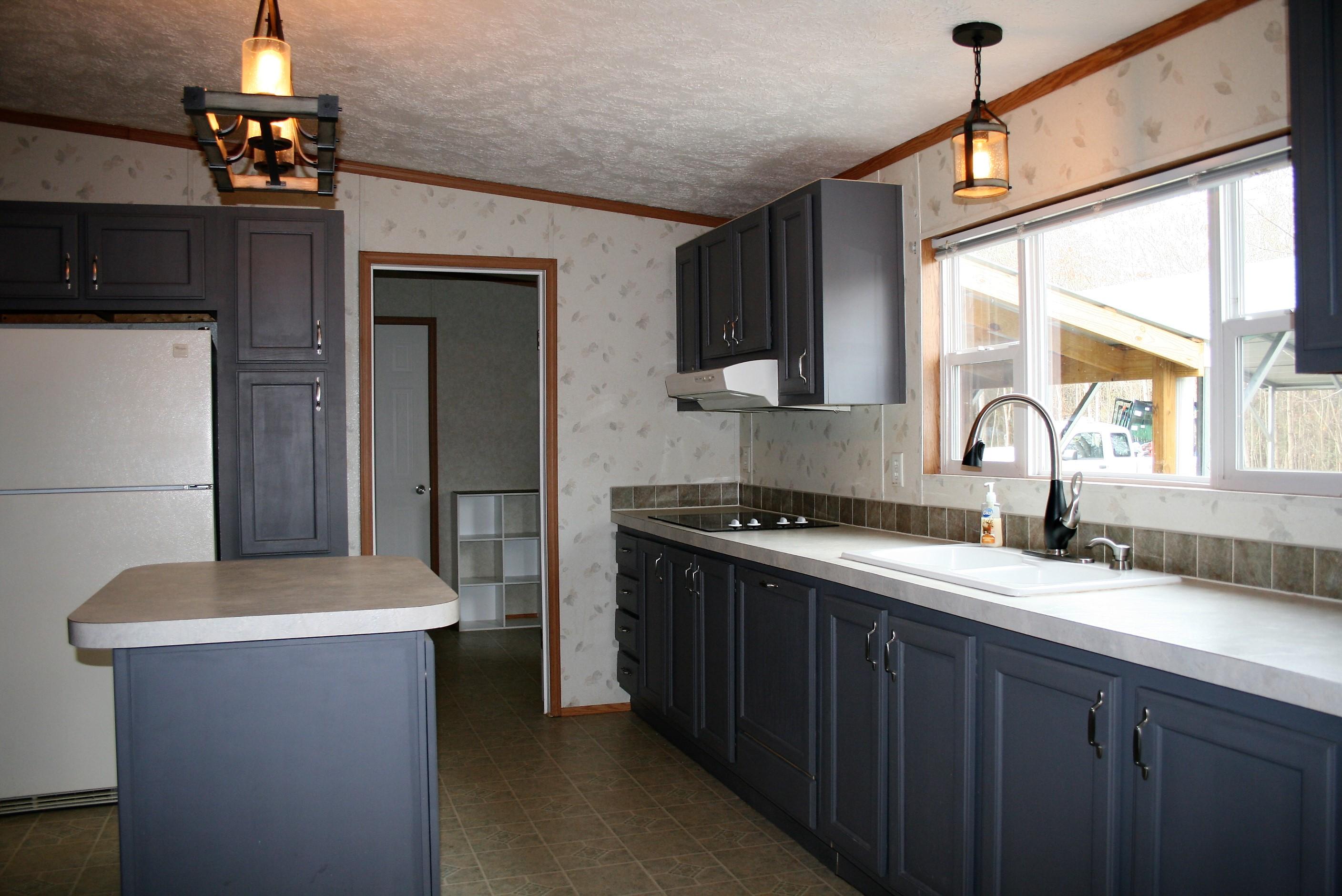 8831 Trout Road Mascot, TN 37806 - Photo 9 of 32 Kitchen