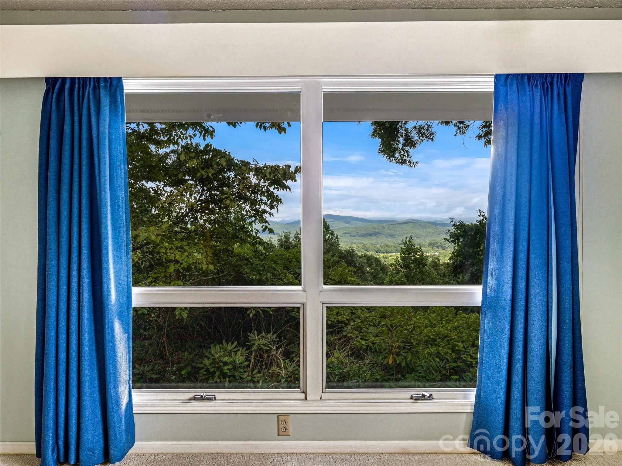 252 Middle Mt Road Pisgah Forest, NC 28768 - Photo 24 of 48 Gallery Image 24