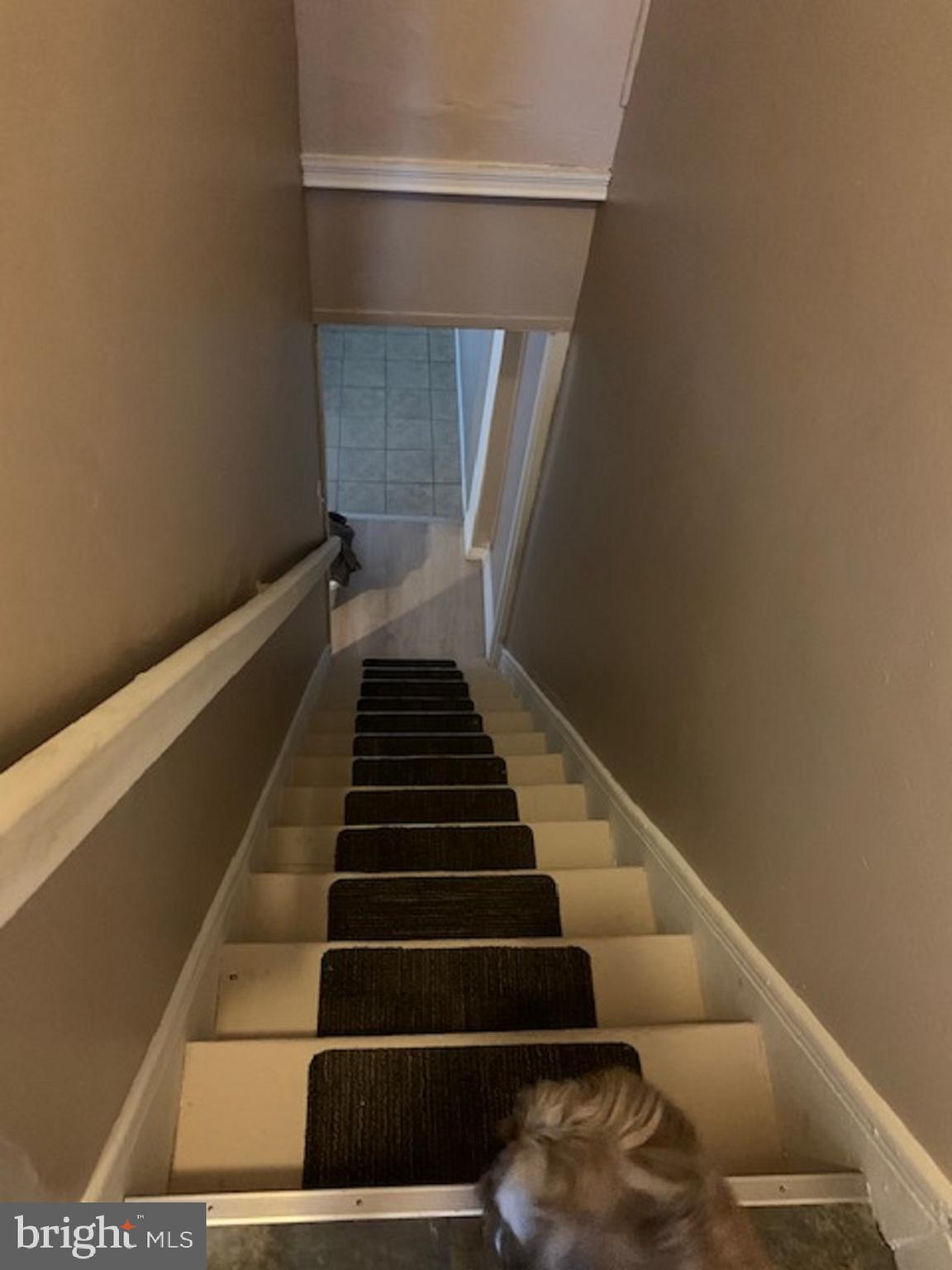 306 Franklin Street Reading, PA 19602 - Photo 12 of 15