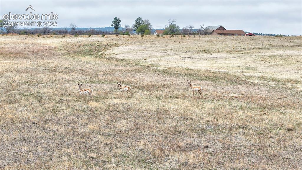 Dzuris Road Calhan, CO 80808 - Photo 9 of 10