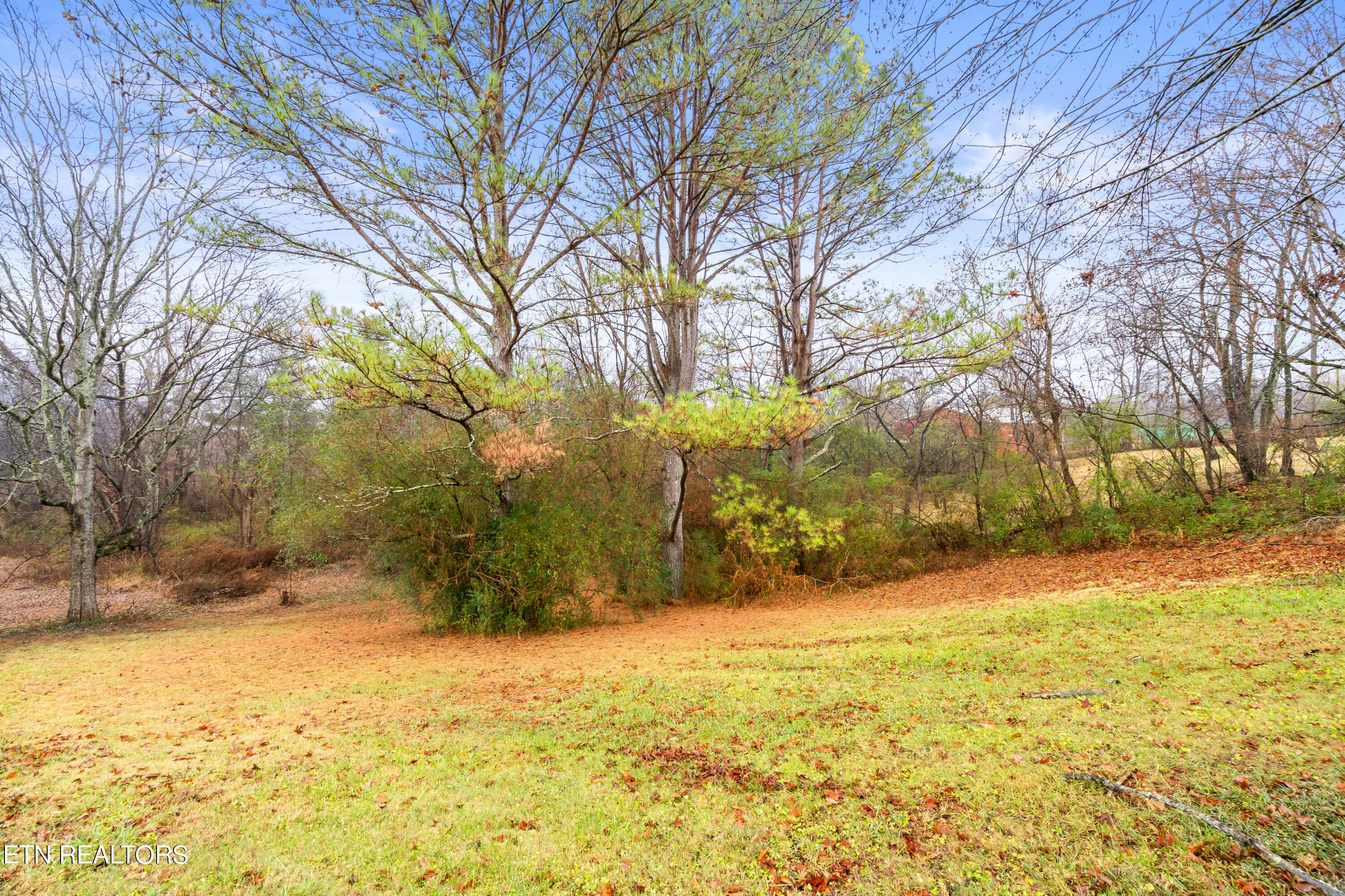 7718 Collier Road Powell, TN 37849 - Photo 46 of 53 7718 Collier Road-42