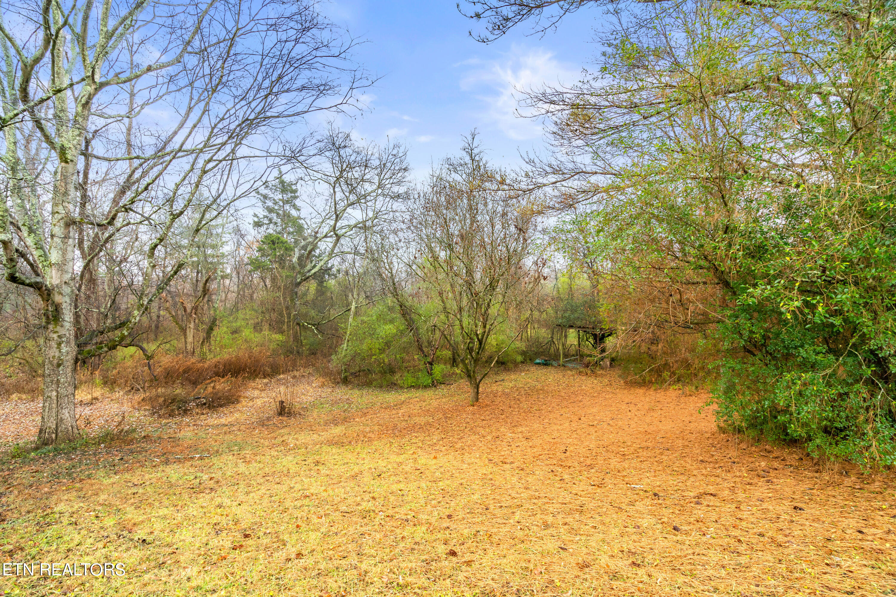7718 Collier Road Powell, TN 37849 - Photo 47 of 53 7718 Collier Road-43