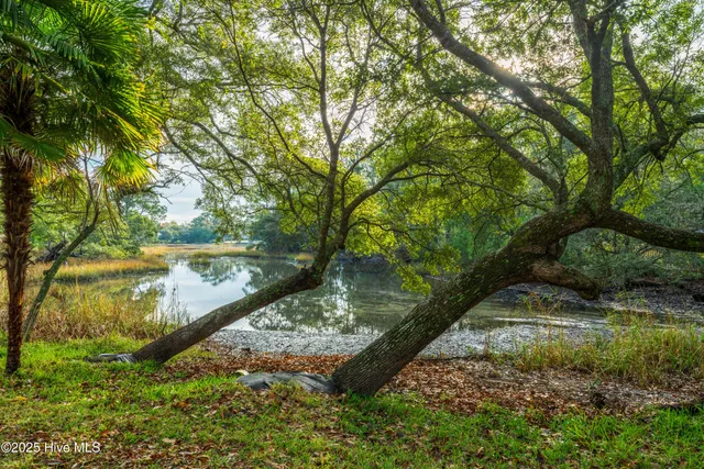 $1,050,000 | 1408 Halcyon Lane, Wilmington, NC 28411