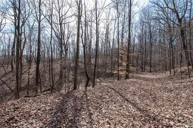 a view of outdoor space with lots of swings