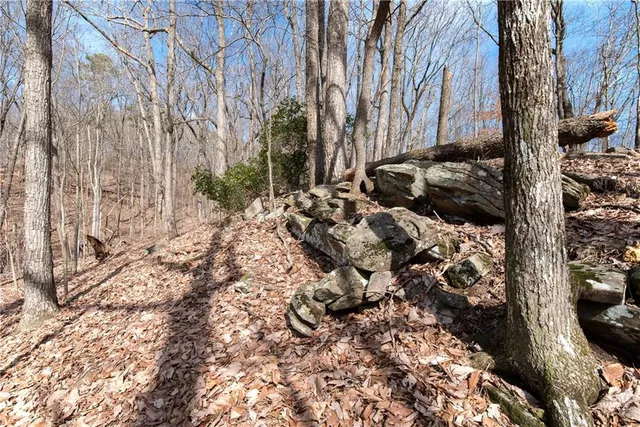 a view of a tree with a yard