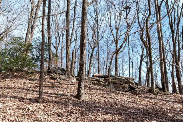 a view of yard covered with snow