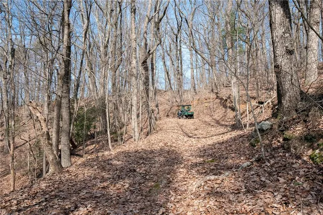 a view of outdoor space with lots of trees