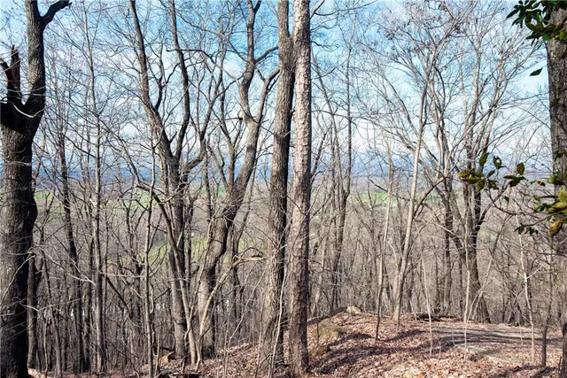 a view of outdoor space with lots of trees