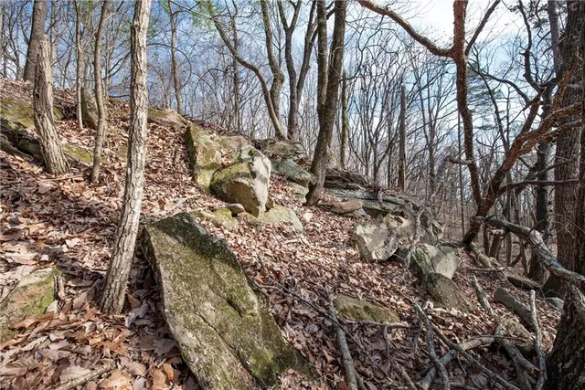 a view of a yard with large trees