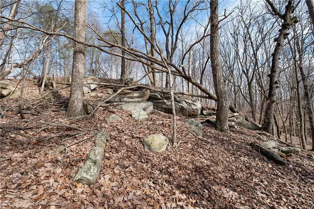 a view of a backyard of the house