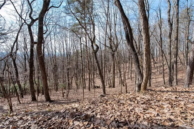 a view of a backyard with iron fence