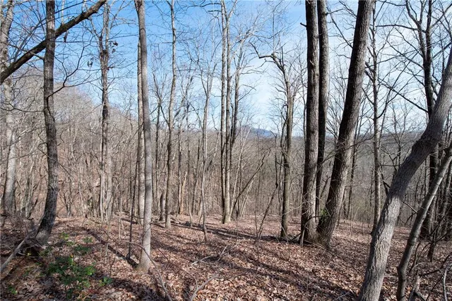 a view of a backyard of the house