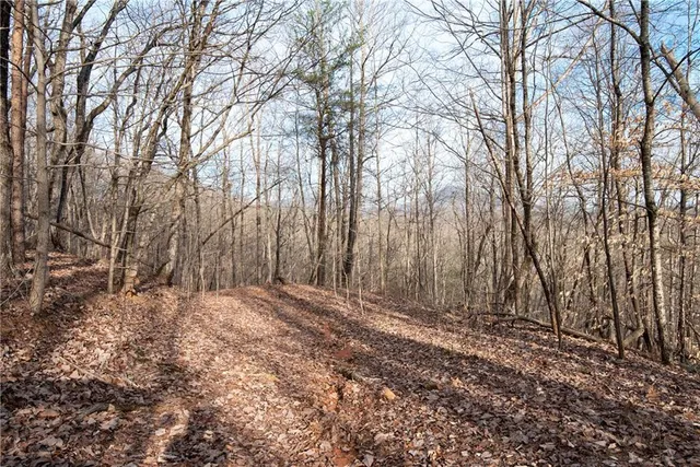 a view of backyard with green space