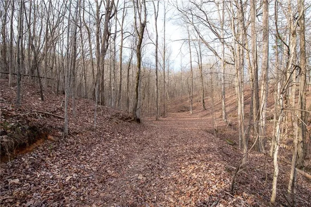 a backyard of a house with lots of trees