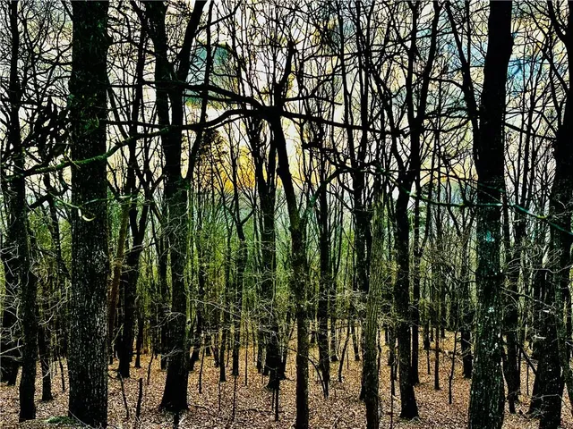 $1,304,850 | 86.99 Acres Mincie Mountain, Murrayville, GA 30564