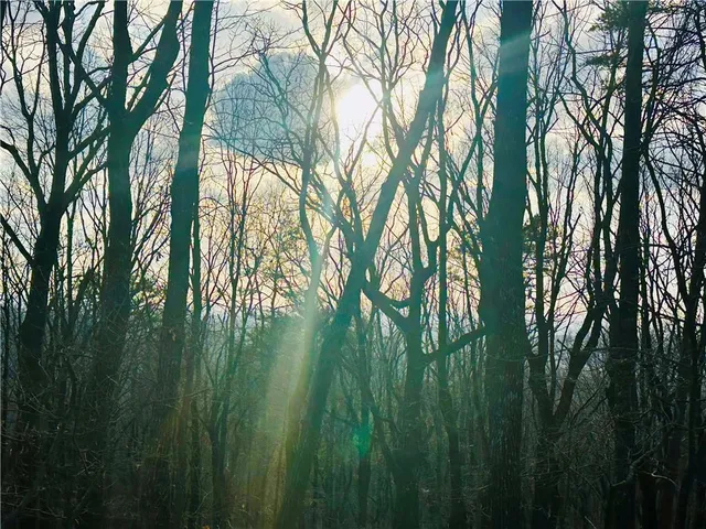 $1,304,850 | 86.99 Acres Mincie Mountain, Murrayville, GA 30564