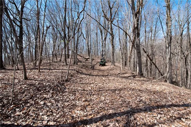 a view of outdoor space with deck and yard