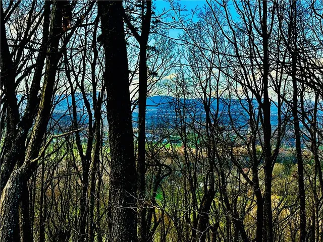 $1,304,850 | 86.99 Acres Mincie Mountain, Murrayville, GA 30564